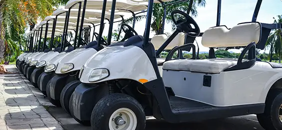 Golf Cart</em> Accidents