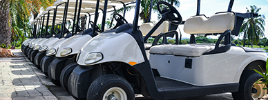 Golf Cart</em> Accidents